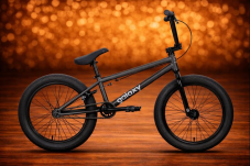 GALAXY WHIP BMX 20" ŠEDÁ