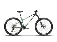 Qayron Spyro 1 29"