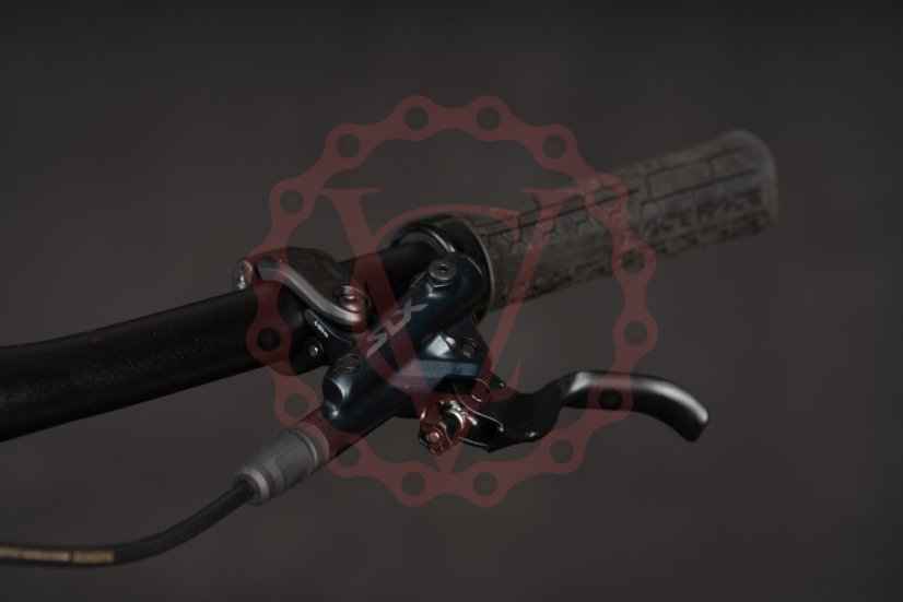 Qayron Ram MKII Q Sage Gray 29" kolo