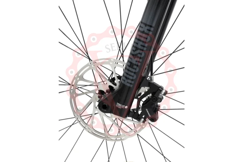 APACHE Eagle C5 bílá 29" kolo - Velikost: L