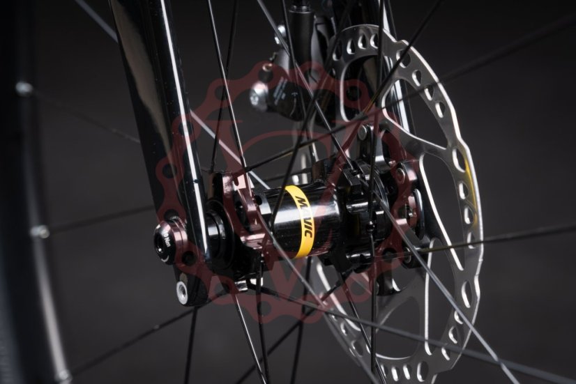 Qayron One.Dr Q 1X Red