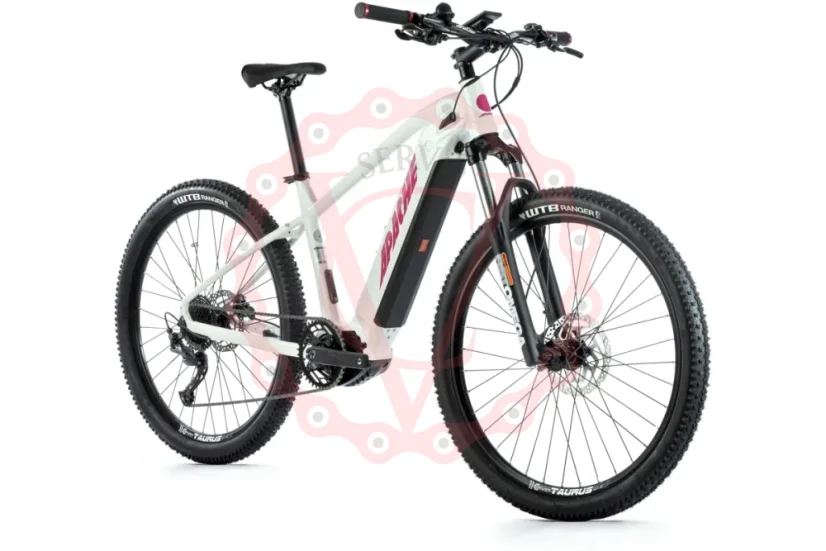 Elektrokolo APACHE Tanka Tate MX3 510 655 Wh