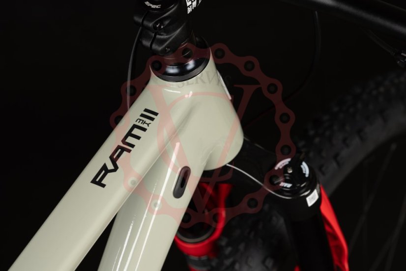 Qayron Ram MKII Q Sage Gray 29" kolo