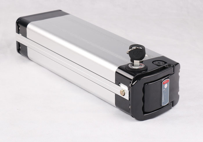 Silverfish Typ 1 36V Li-ion